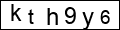 xxxx CAPTCHA